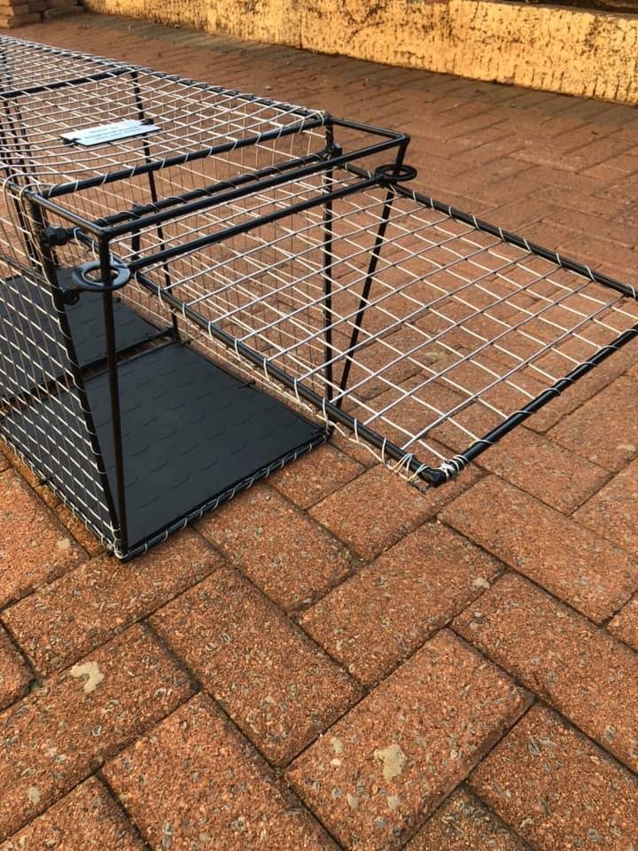 A humane, locally-made cat trap