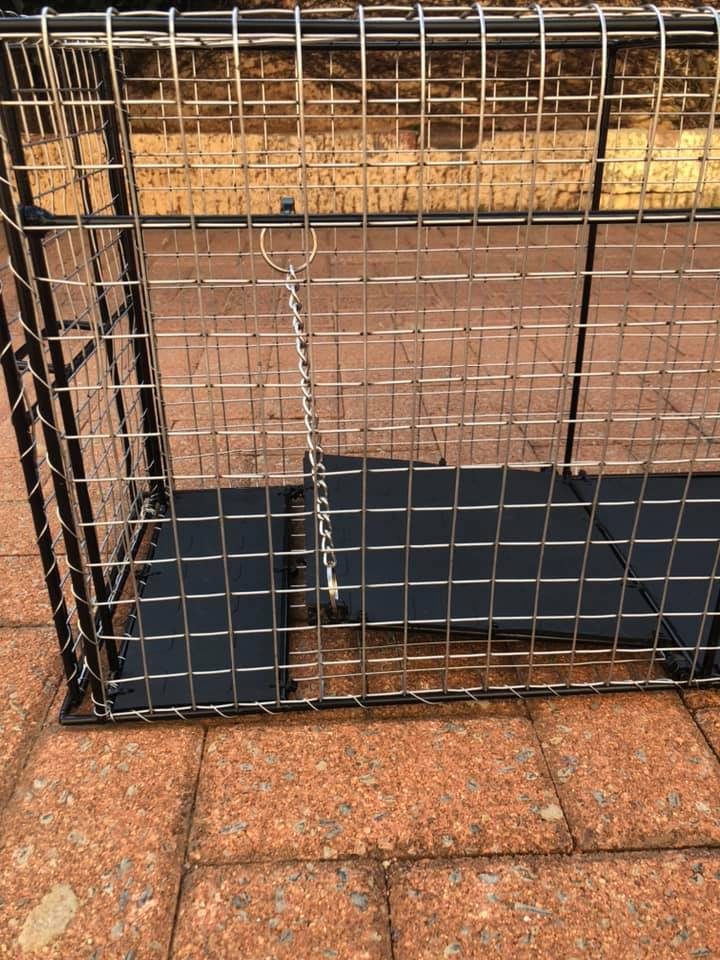 A humane, locally-made cat trap