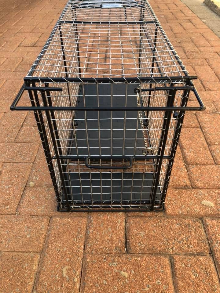 A humane, locally-made cat trap