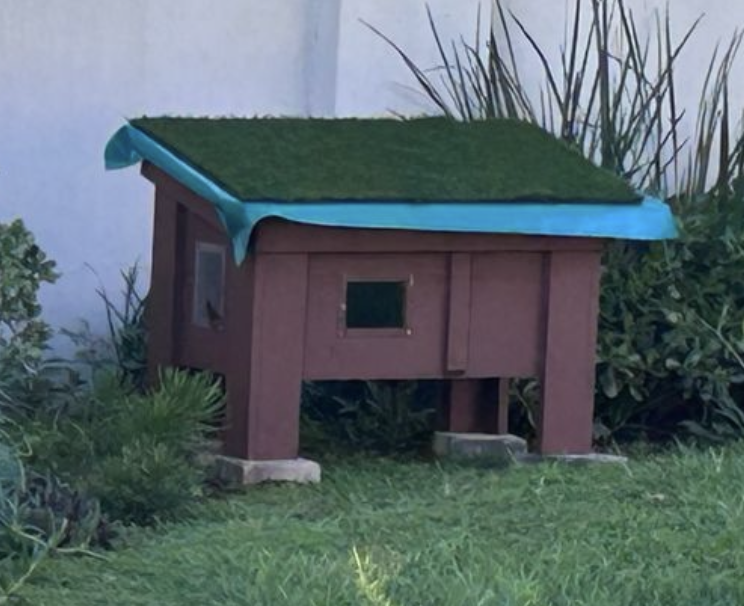 A G&K feral cat sleeper and feeder