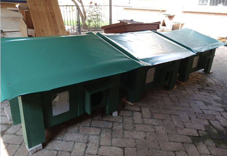 A G&K feral cat sleeper in a colony